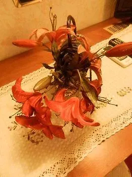度假居 3个硬币民宿 罗马